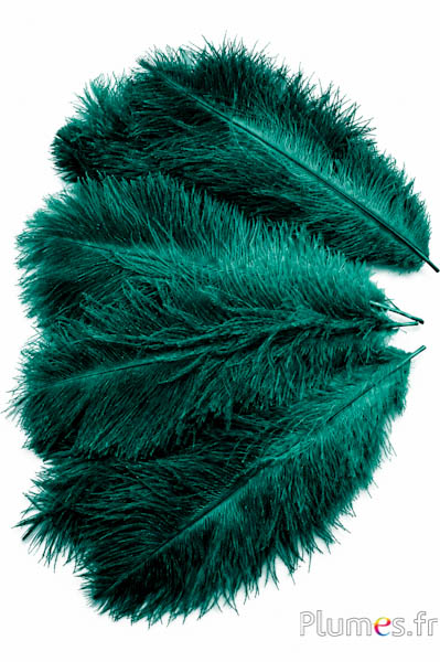 Struisvogel - 30-40 cm - grijs natuurlijk-jade